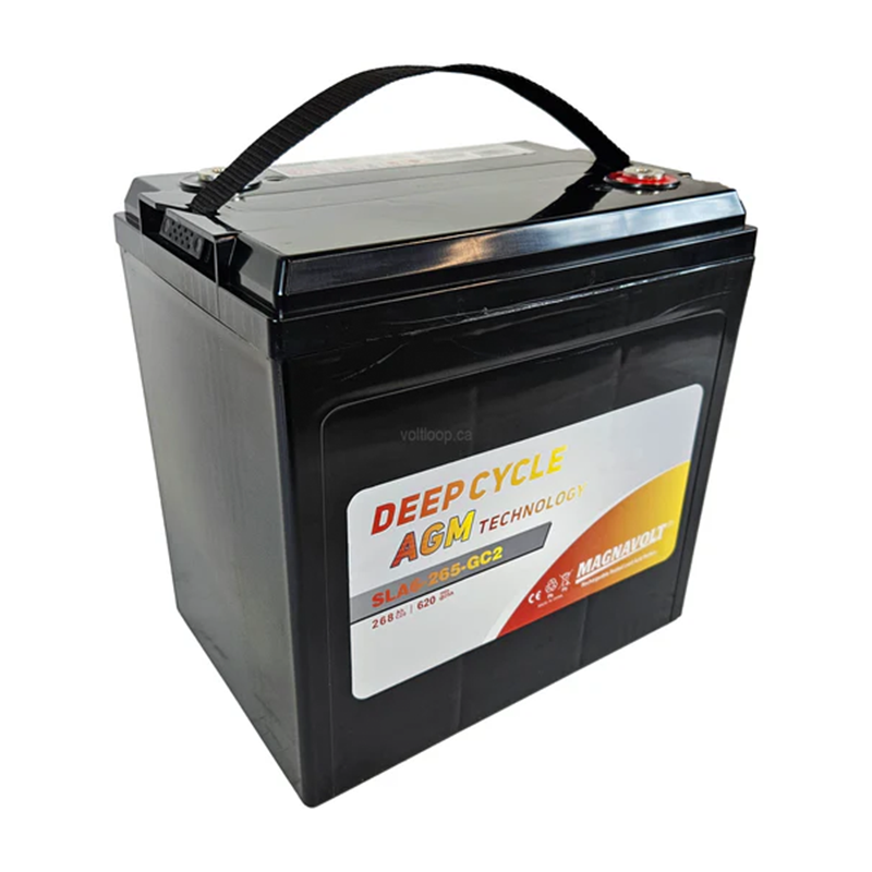 باتری 6 ولت AMG