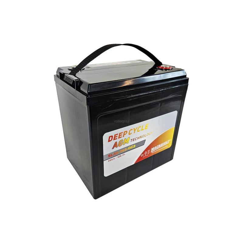 باتری اسکرابر اسیدی 6 ولت